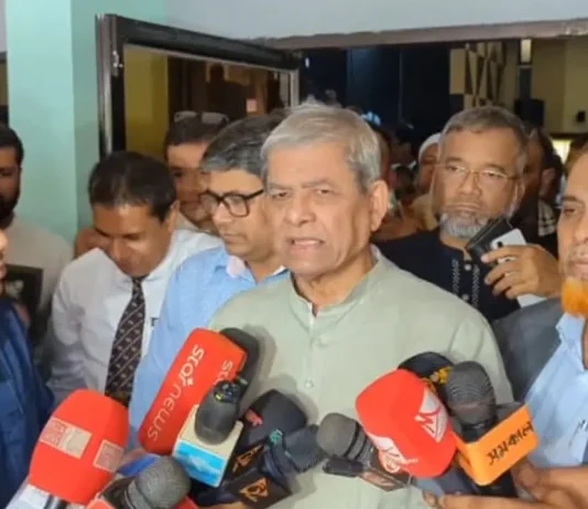 রাষ্ট্রপতি দলীয় নাকি বাইরে থেকে, সিদ্ধান্ত বিএনপির বৈঠকেই : মির্জা ফখরুল