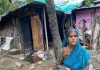 বন্যায় ভেসে গেছে মাথা গোঁজার ঠাঁই, কিস্তি আদায়ে দুয়ারে এনজিও কর্মী