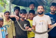 বন্যায় চট্টগ্রামে সাপের উপদ্রব