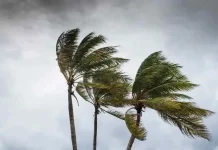 ৪ সমুদ্রবন্দরে ৩ নম্বর সতর্ক সংকেত