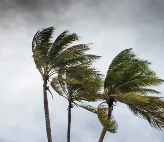 ৪ সমুদ্রবন্দরে ৩ নম্বর সতর্ক সংকেত