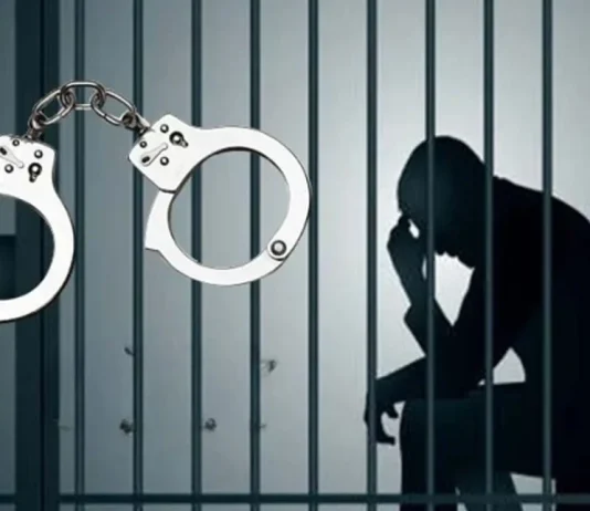 বনানীতে নাশকতামূলক কর্মকাণ্ডের অভিযোগে আটক ৭