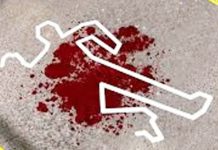 বায়েজিদে বাসের ধাক্কায় প্রাণ গেল গার্মেন্টস শ্রমিকের