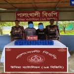 সীমান্তে বিজিবির পৃথক অভিযান: প্রায় ৬ লাখ ইয়াবা উদ্ধার