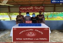 সীমান্তে বিজিবির পৃথক অভিযান: প্রায় ৬ লাখ ইয়াবা উদ্ধার