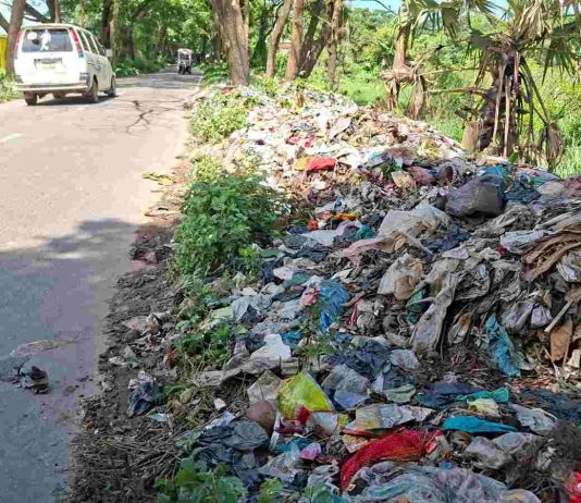 ময়লার স্তূপে নাকাল চন্দনাইশ পৌরবাসী, বাড়ছে স্বাস্থ্যঝুঁকি