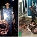 মাতারবাড়ী বিদ্যুৎকেন্দ্রে চুরি ঠেকালেন আনসার সদস্য