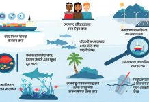 ব্লু ইকোনমির প্রথম দরজা চট্টগ্রাম বন্দরে