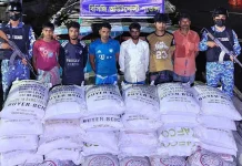 মিয়ানমারে পাচারের সময় সিমেন্ট-সারসহ ৬ পাচারকারী আটক