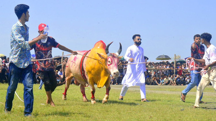 বীরের বেশে লড়াইয়ের ময়দানে ঢুকছে চট্টগ্রামের ‘সাদা বাঘ’।
