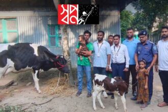 ইসরাত ও রোজা মনির পরিবারের জন্য গাভী উপহার দিয়েছে স্বপ্ন।